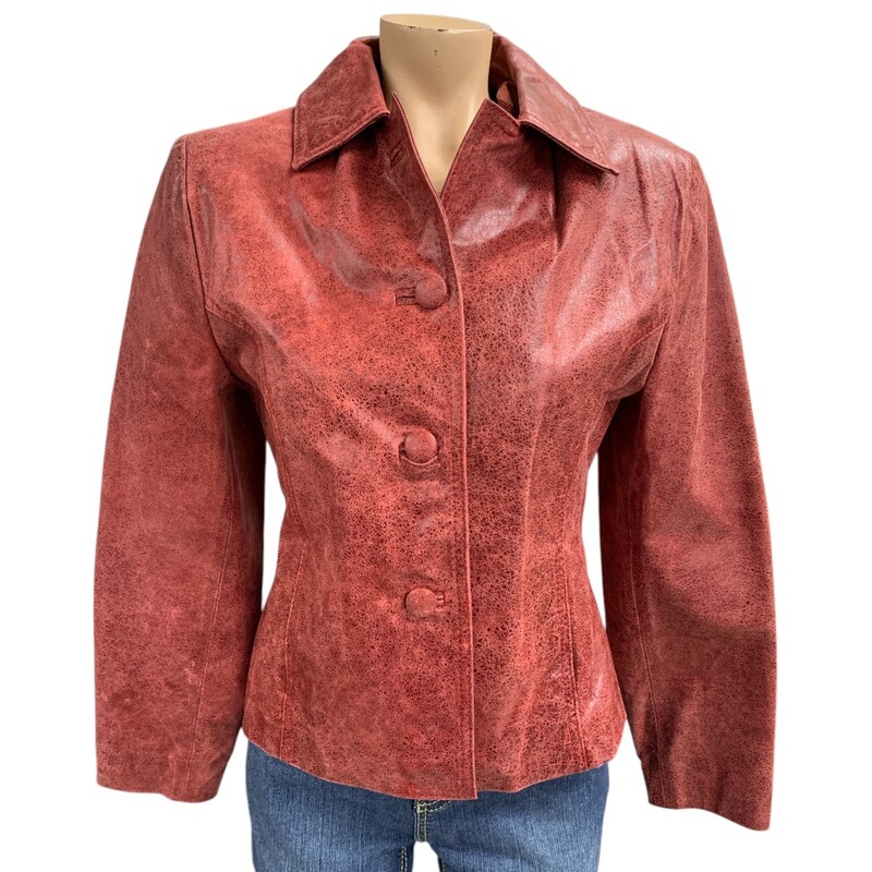 Argentina Standard, Burg, Size: M