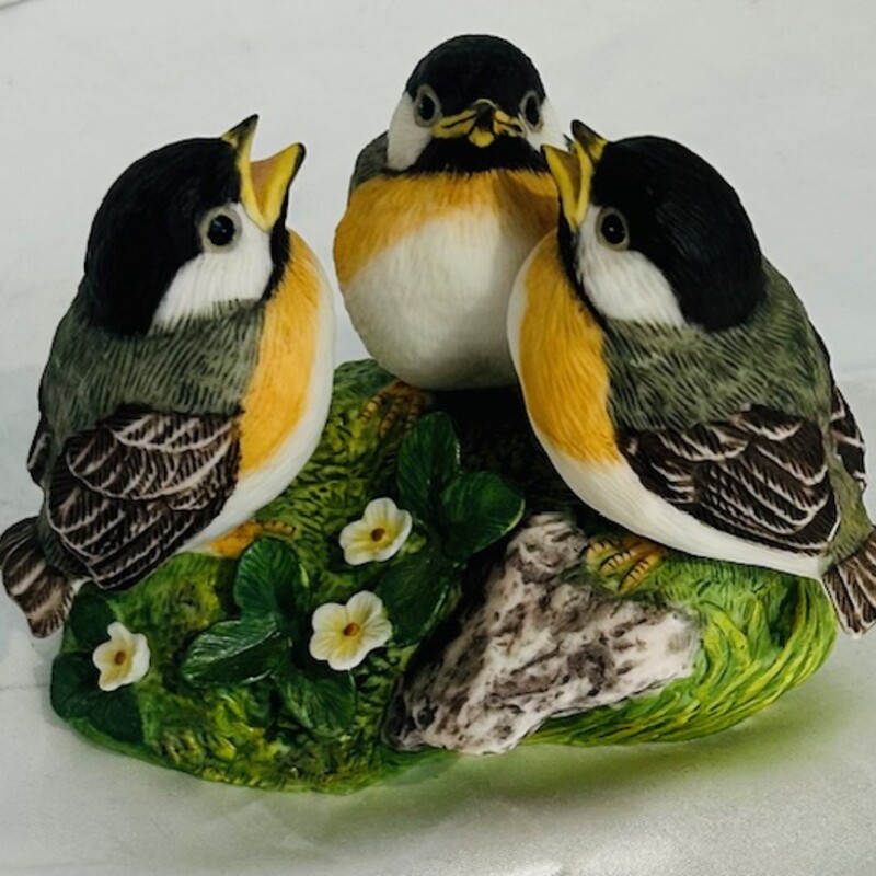 Coversation Birds