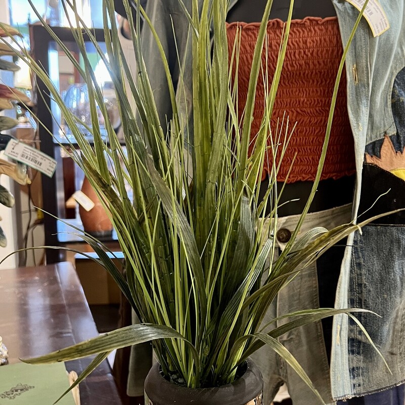 Plant Potted Faux