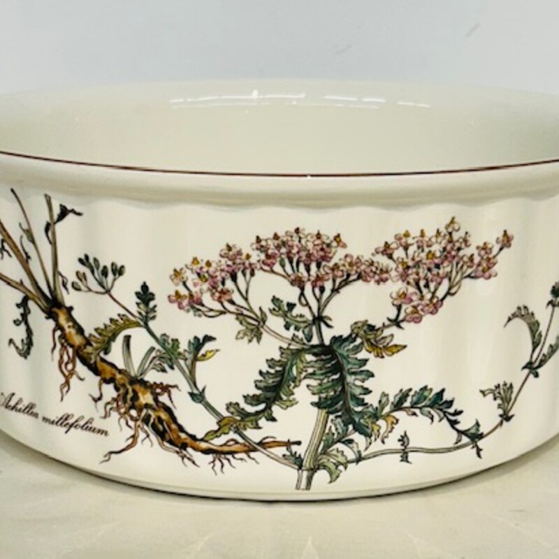 VilleroyBoch Botanica Bwl