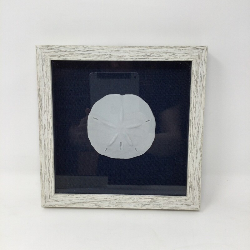 Framed Sand Dollar,
White/Blue,
Size: 9 X 9 In