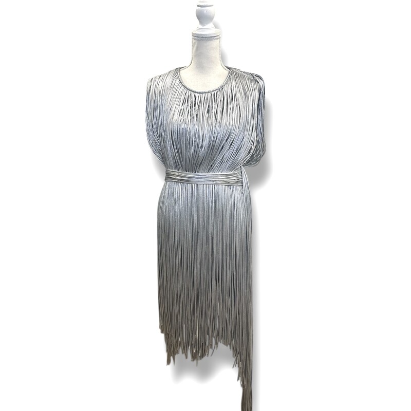 Area Fringe Metallic Dres