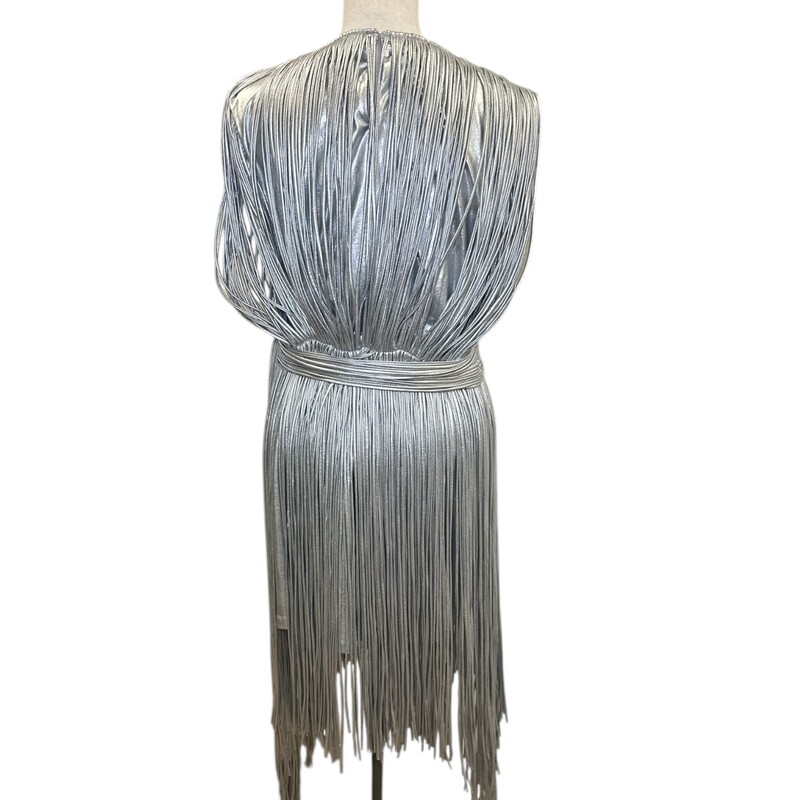 Area Fringe Metallic Silver Dress<br />
<br />
Size: Xlarge