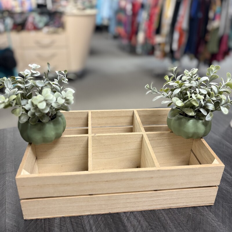 Crate With 2 Plants