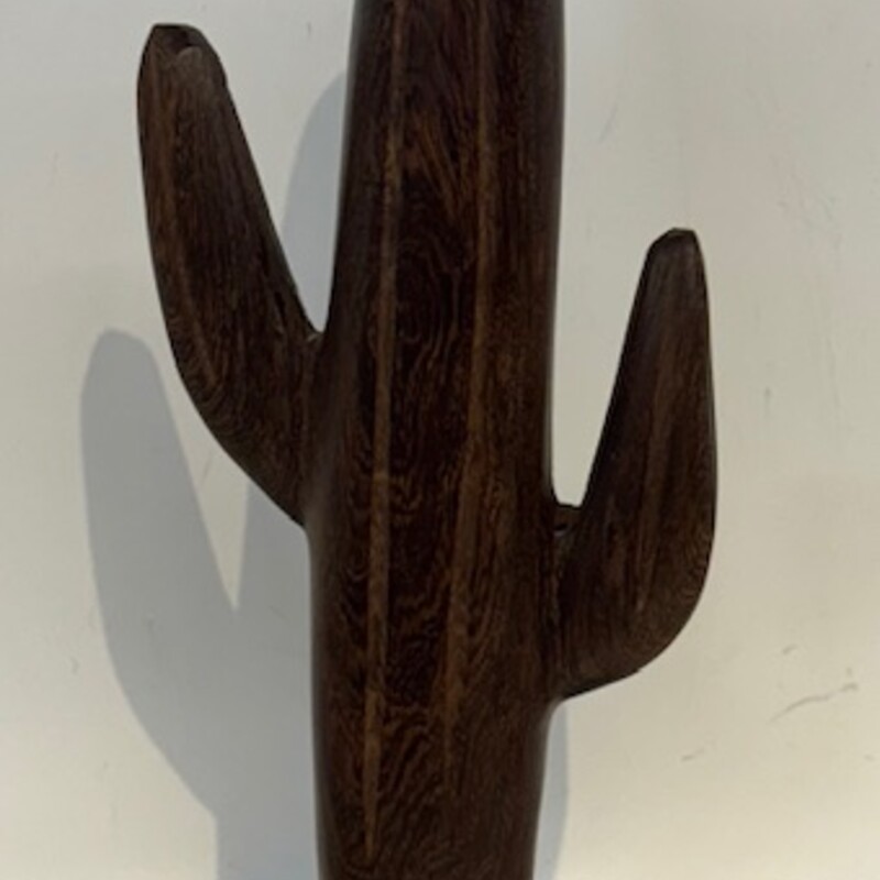 Ironwood Saguaro Cactus