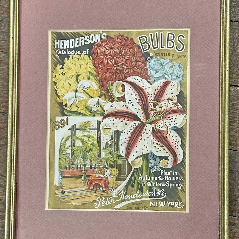 Vint Framed Henderson Bul