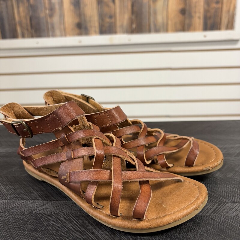 Brown Gladiator Sandals, Size: 12/13