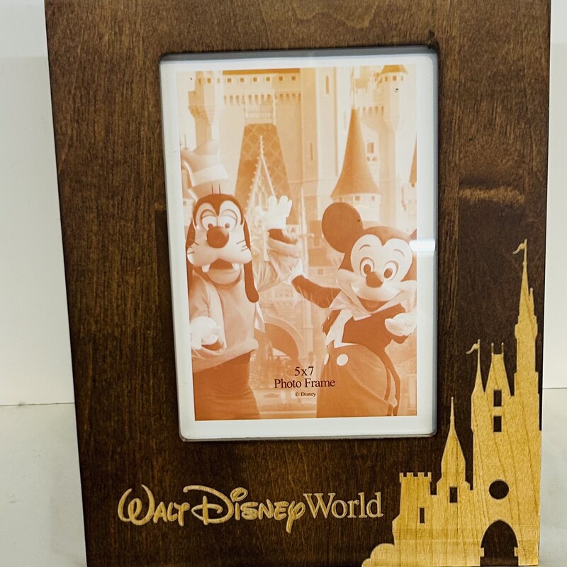 Disney Castle Frame