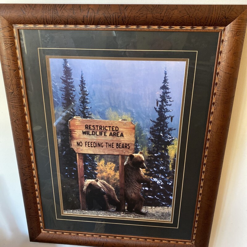 No Feeding The Bears