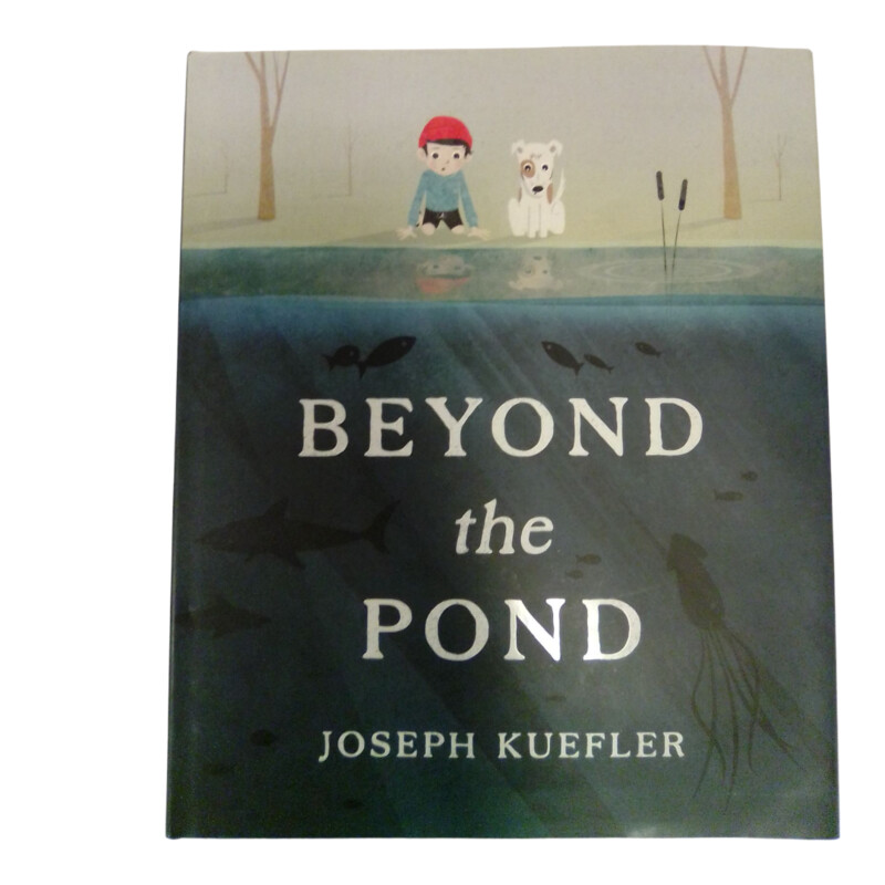 Beyond The Pond