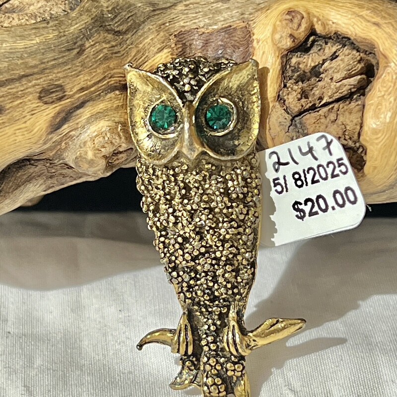 PIGTOwl