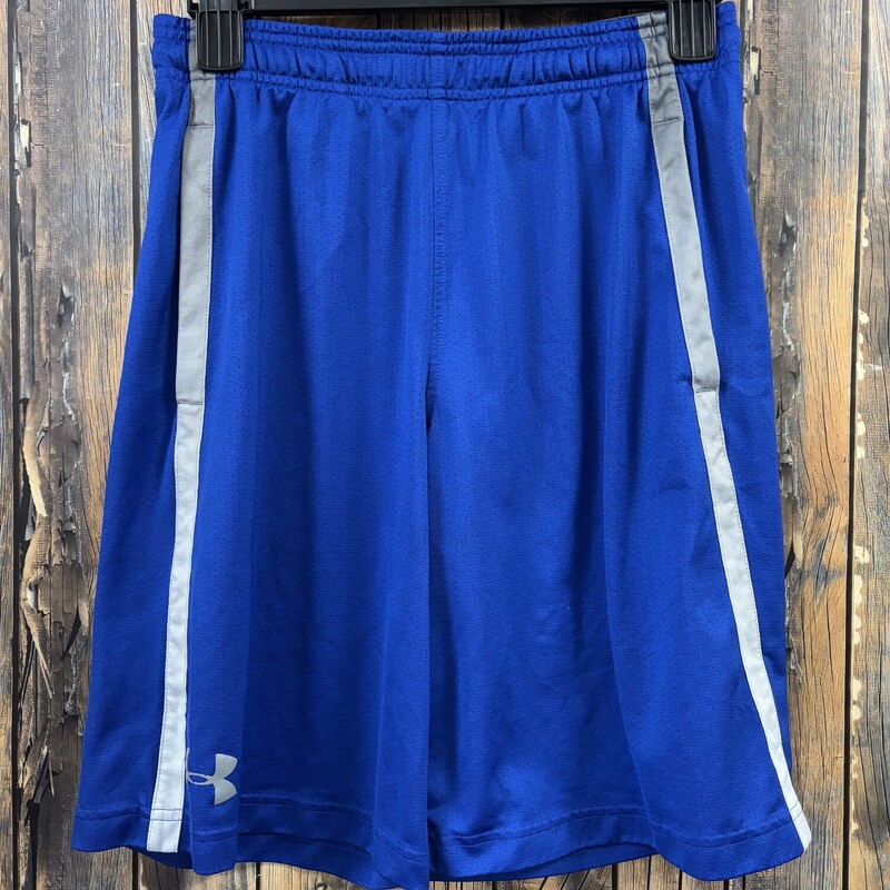 Blue UA Shorts