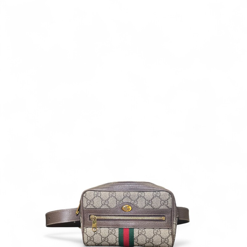 Gucci Ophidia Belt