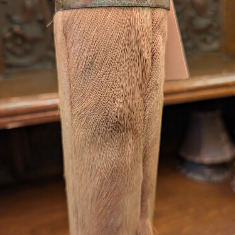 Vtg Deer Foot Lamp, Rawhide Shade
12 x 25h
