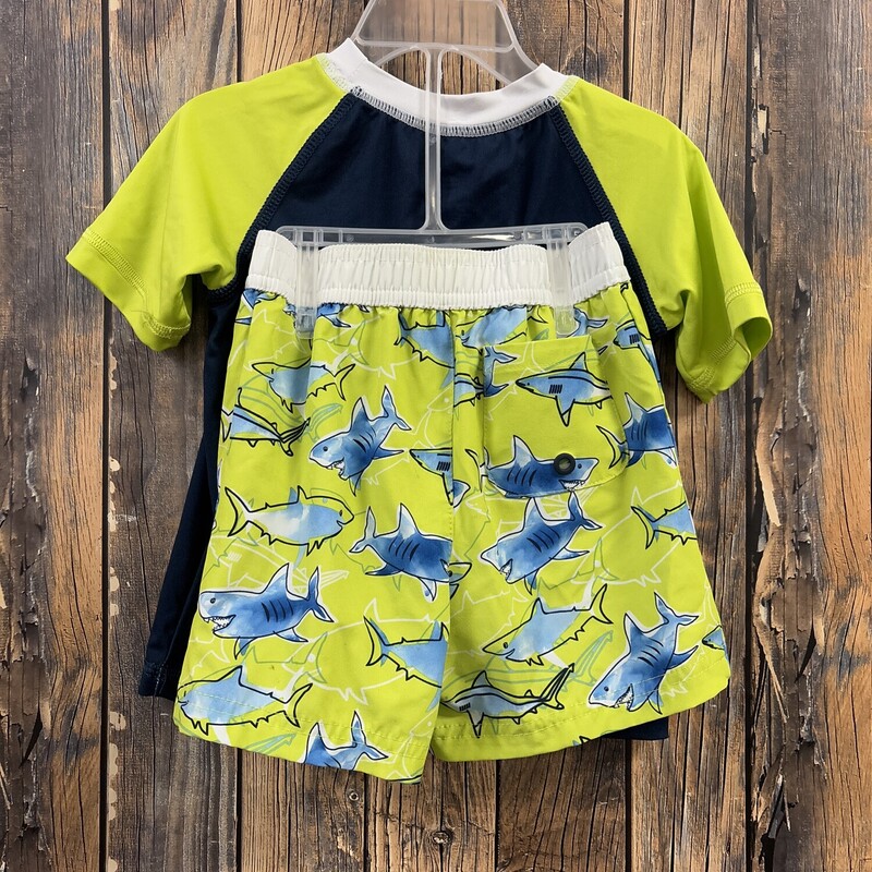 Shark Swim Set, Size: 2T