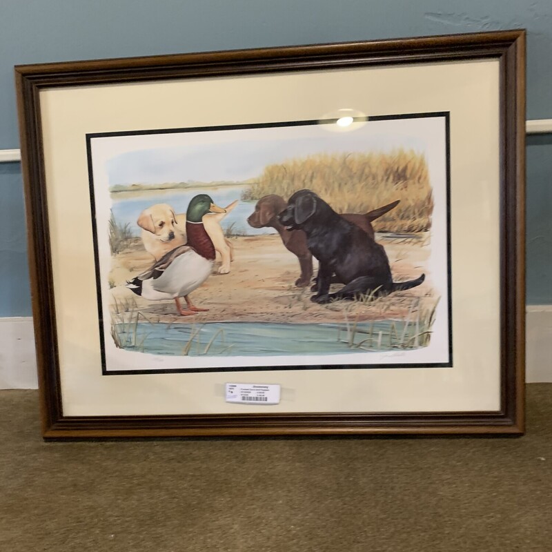 Framed Duck And Puppies