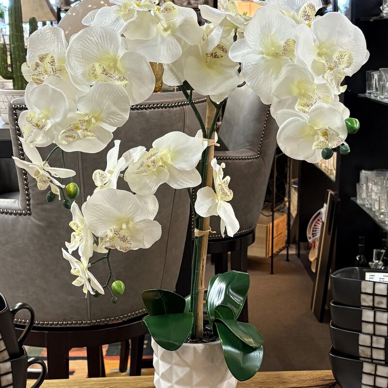 Faux Orchid In Geom Pot