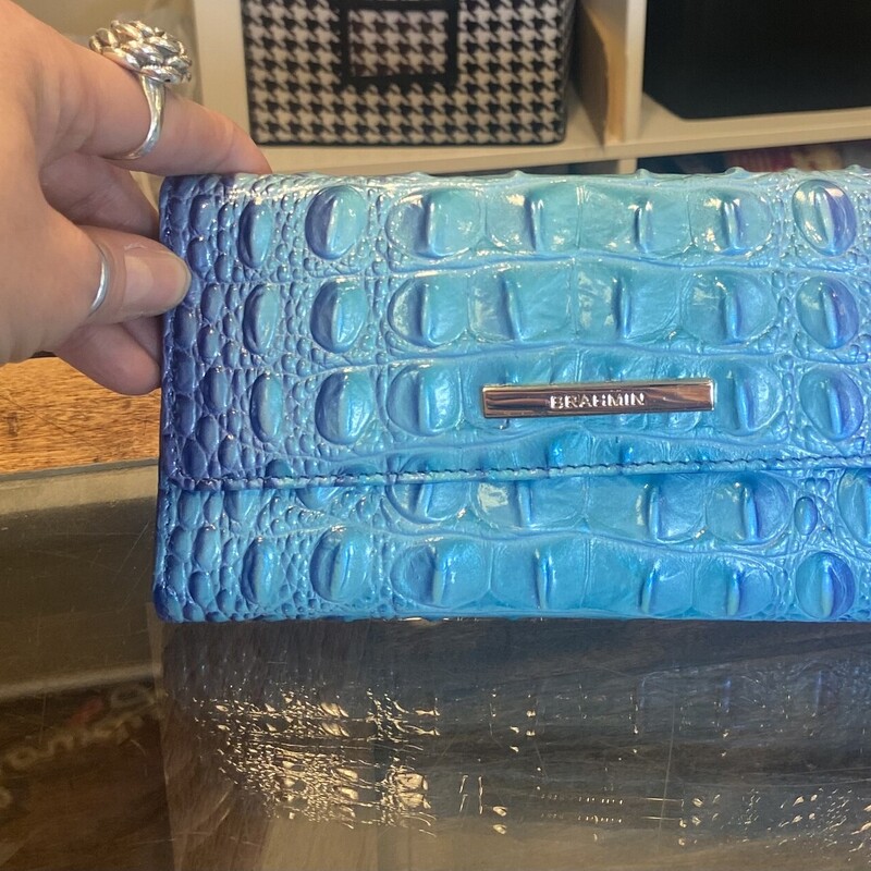 EUC Blu Ombre Lthr Wallet