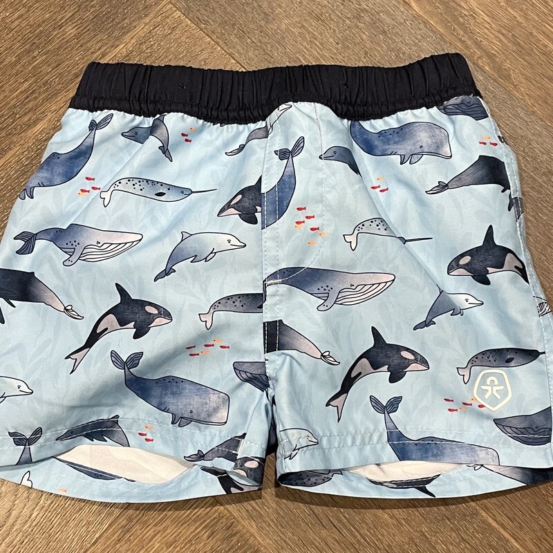 Color Kids Swimming Short