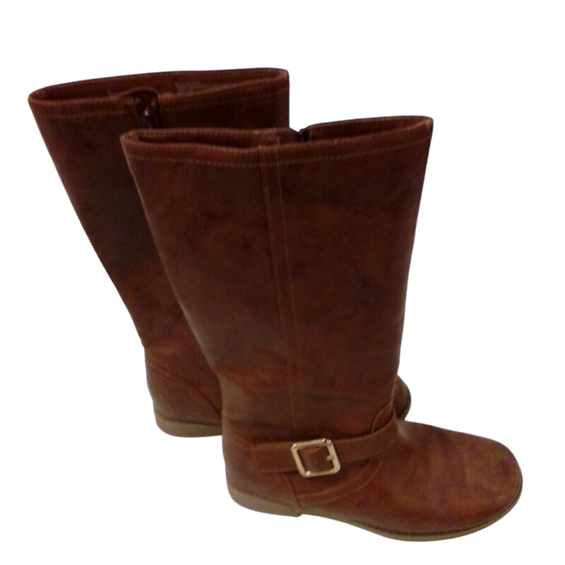 Shoes: Brown Long Boots