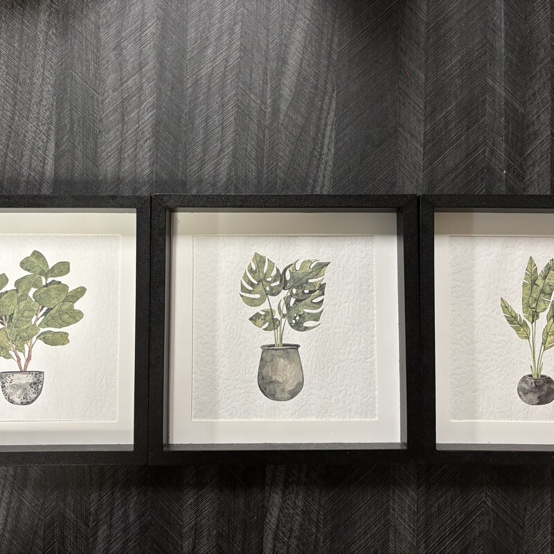 3pc Plant Pictures