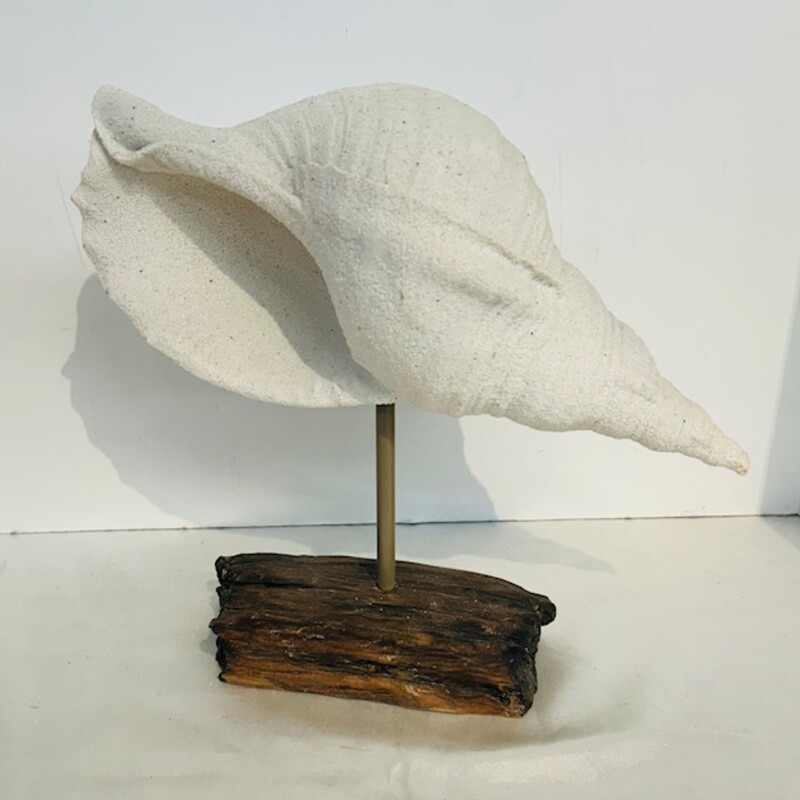 Conch Shell On Wood Stand