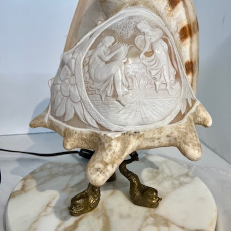 Marble Base Cameo Shell
