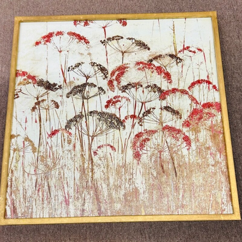 Dried Fennel FlowerFramed