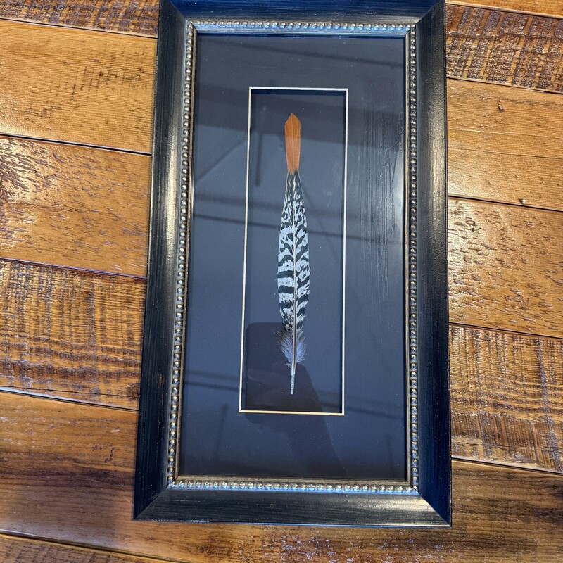 Framed Pheasant Feather