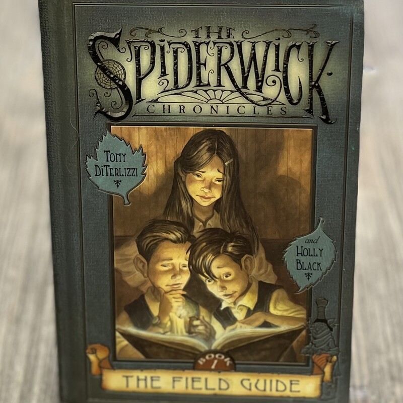 The Spiderwick Chronicles, Multi, Size: Hardcover