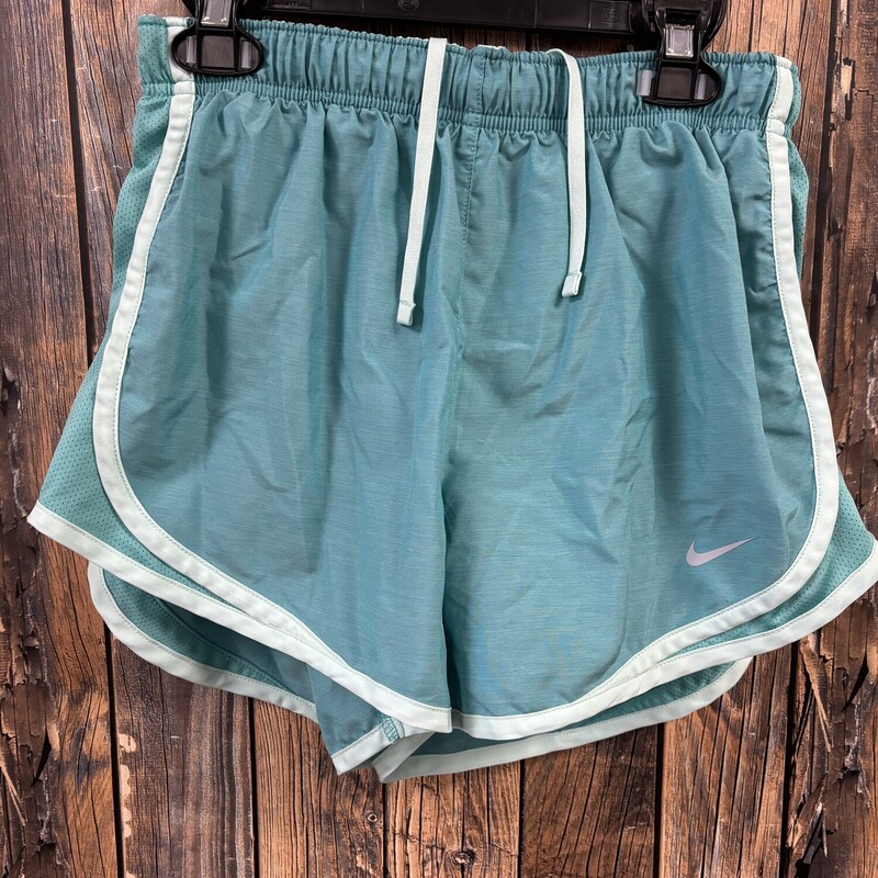 Teal Nike Shorts