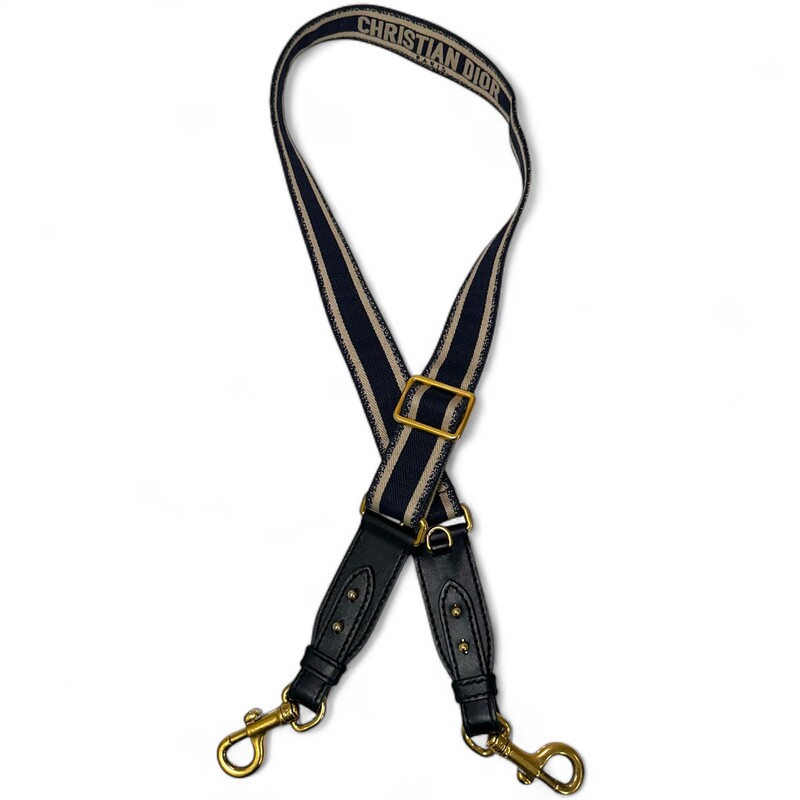 Dior Logo Canvas Embro