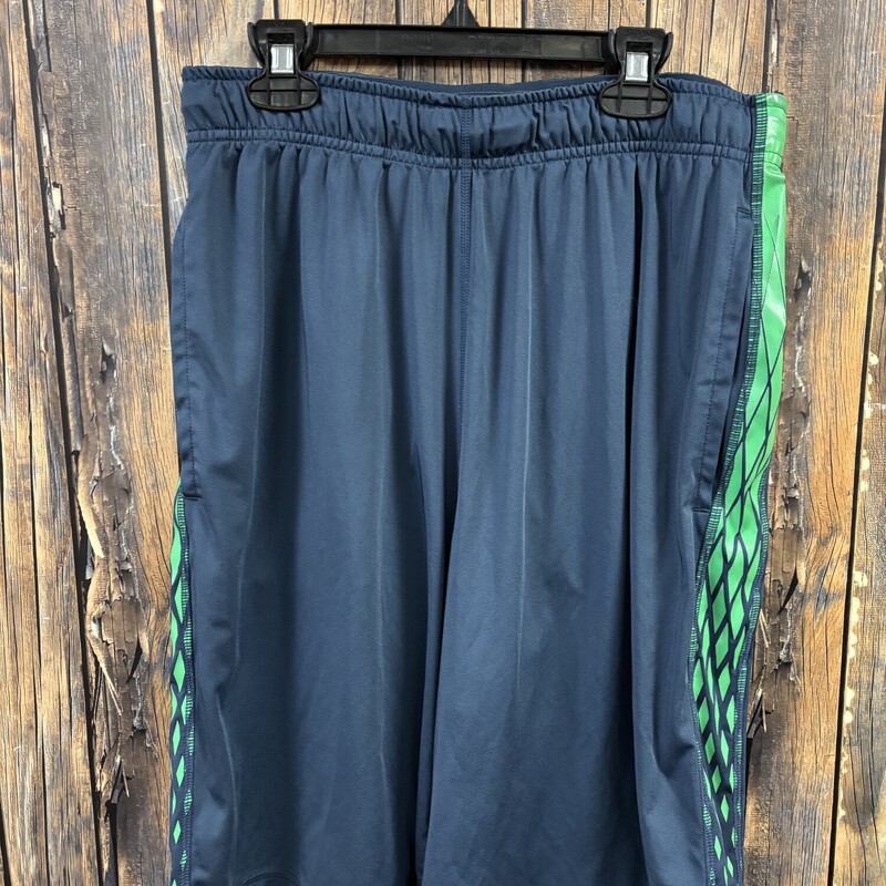 Blue Green Nike Shorts