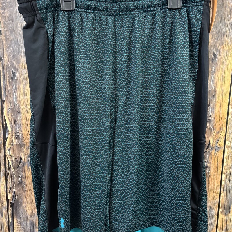 Teal & Black UA Shorts