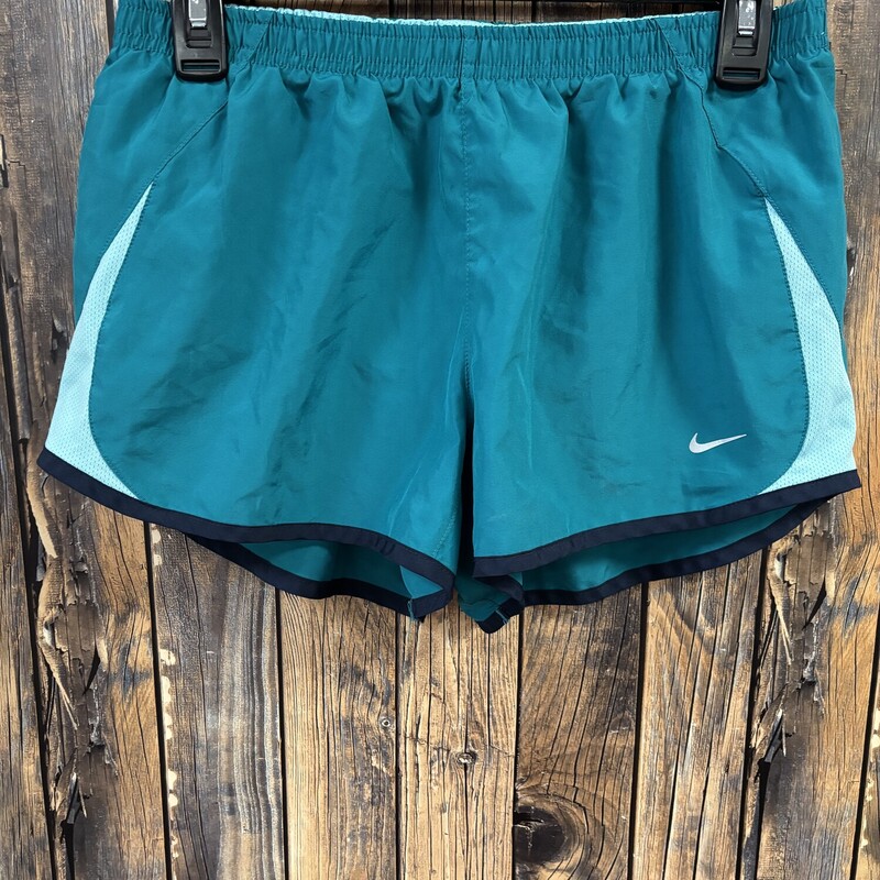 Teal Nike Shorts