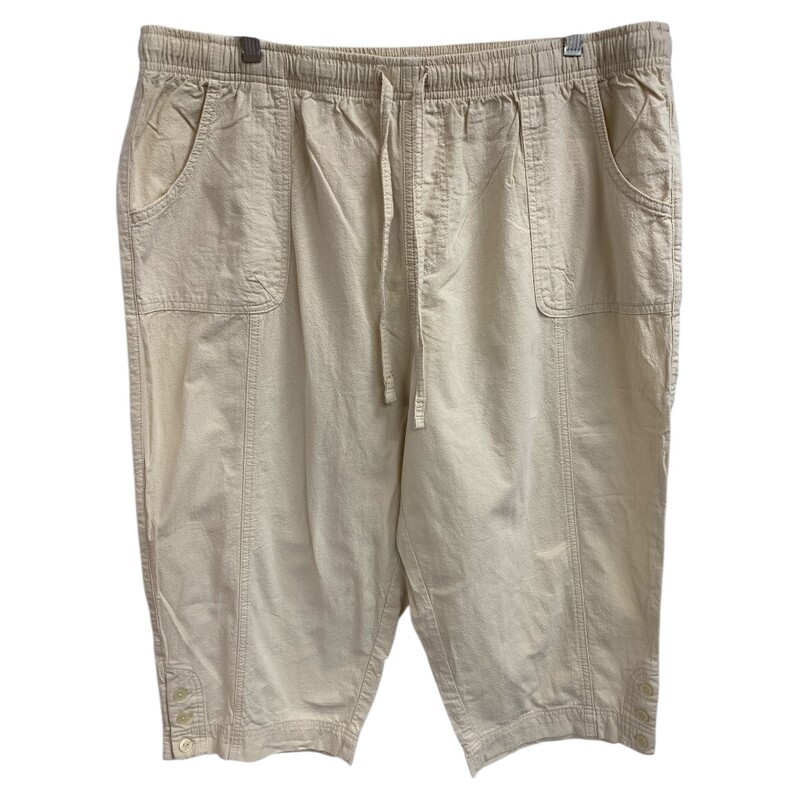 Classis Editions, Tan, Size: 2X