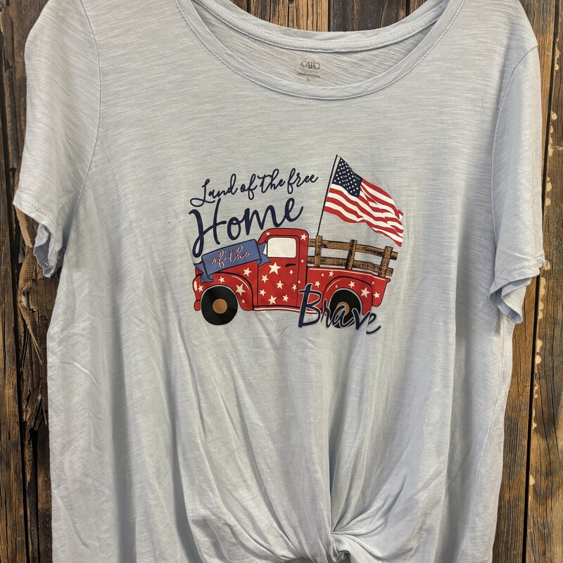 Blue Cato Flag Truck Shir