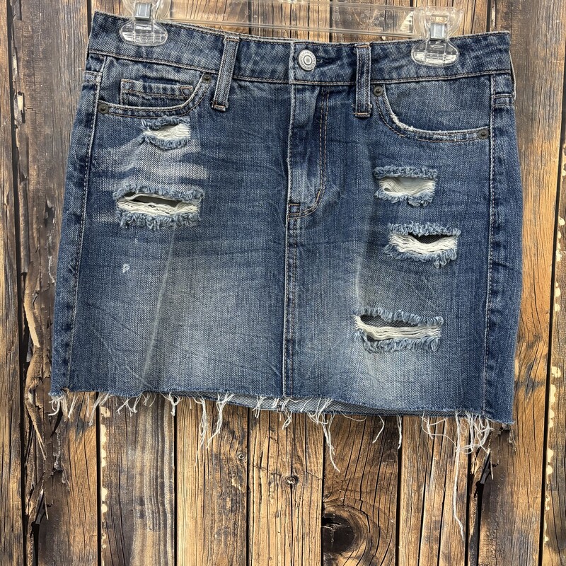 Aero Ripped Skirt