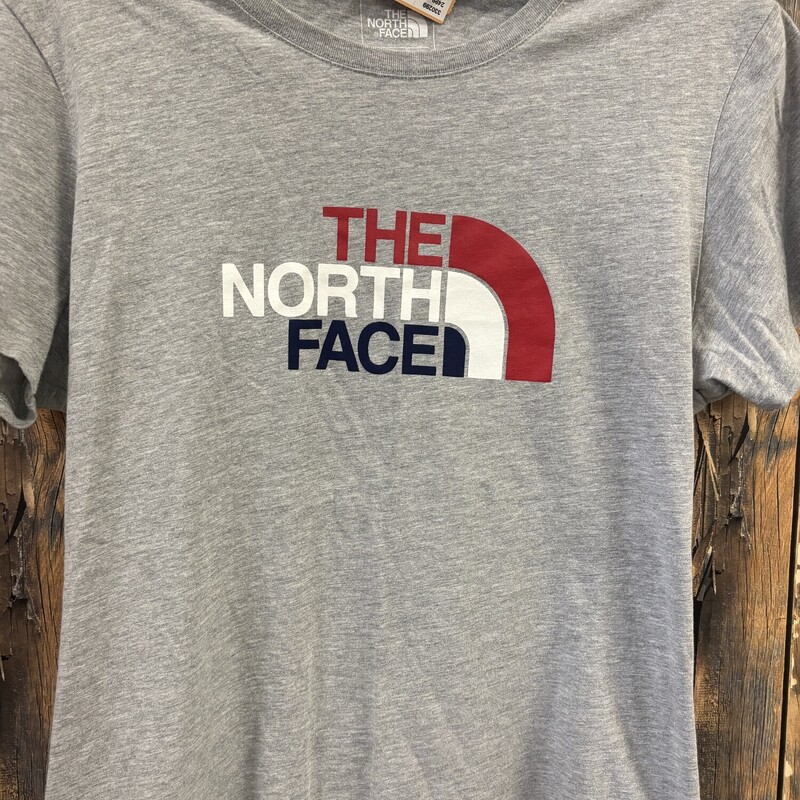 Gray The North Face Tee