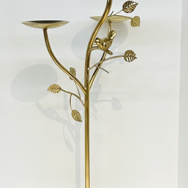 3 Hold Bird Branch