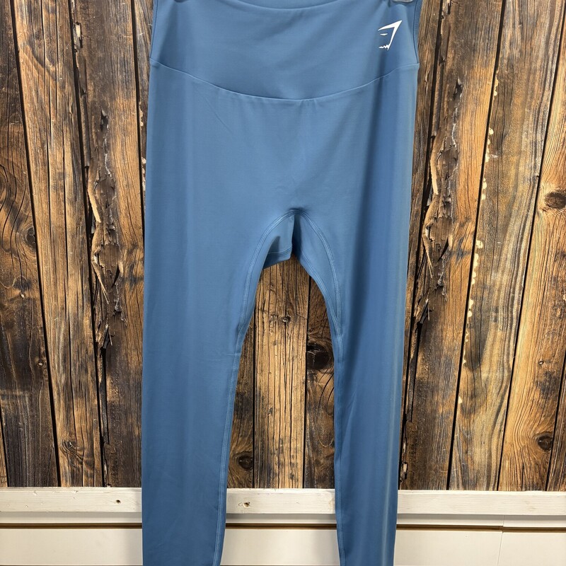 Blue Gym Shark Leggings