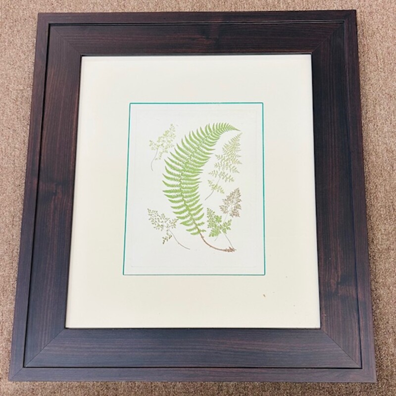 Ferns With Platemark IV