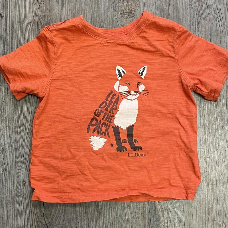 LLbean Tee