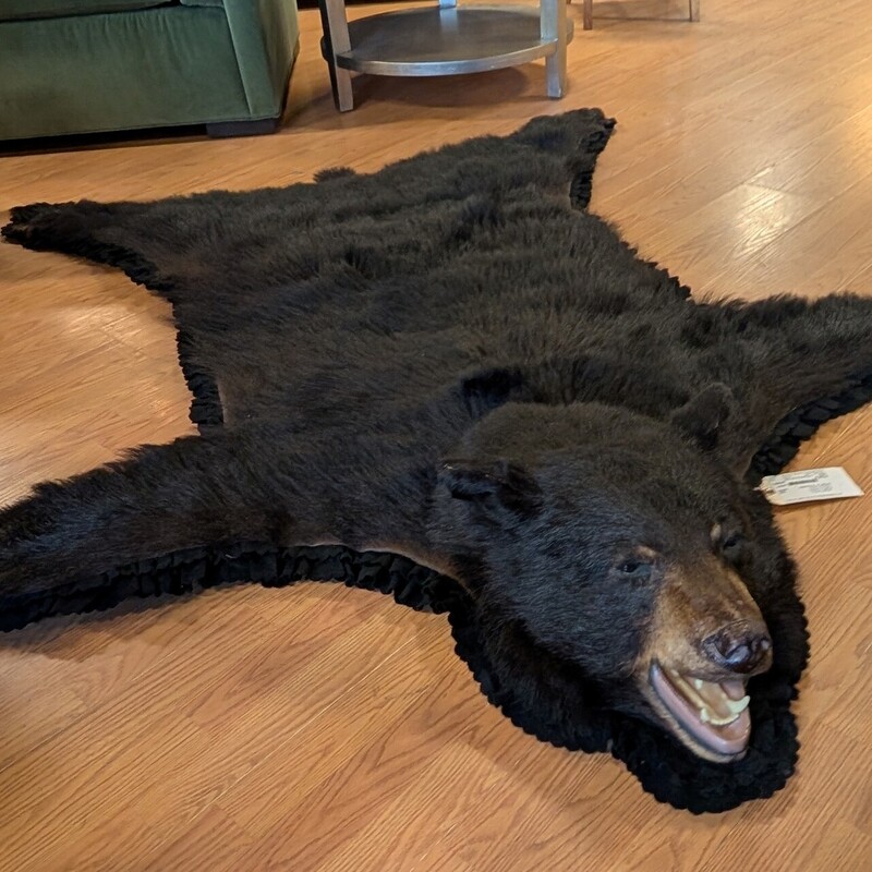Bear Skin Rug W/head