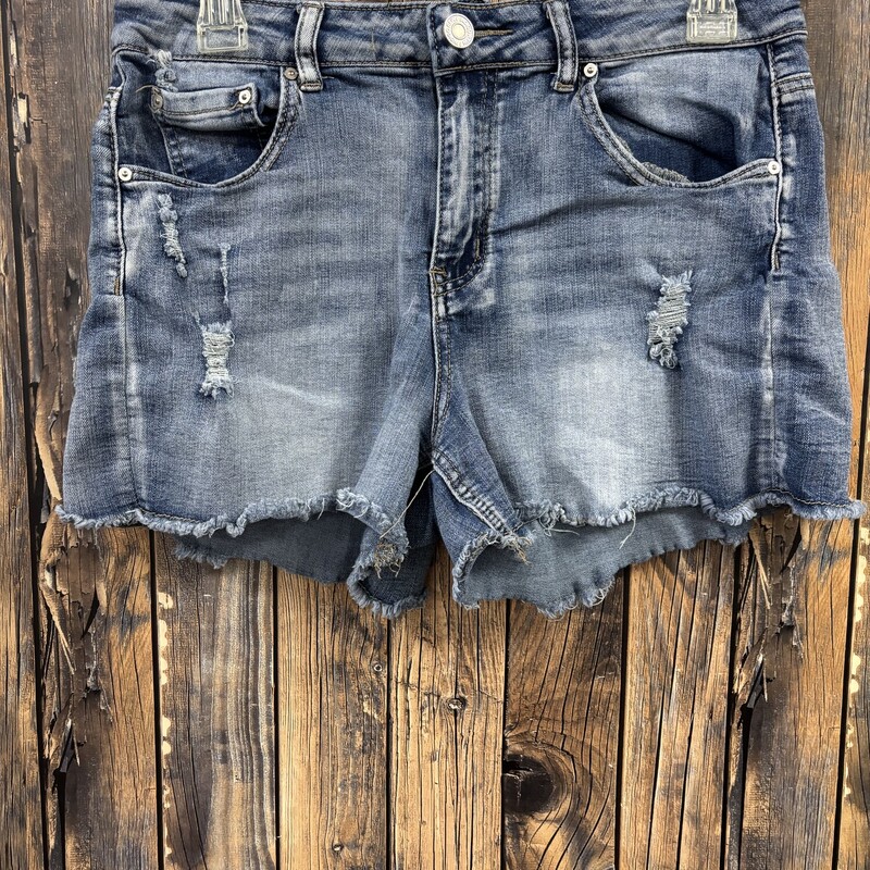 Indigo Rein Shorts