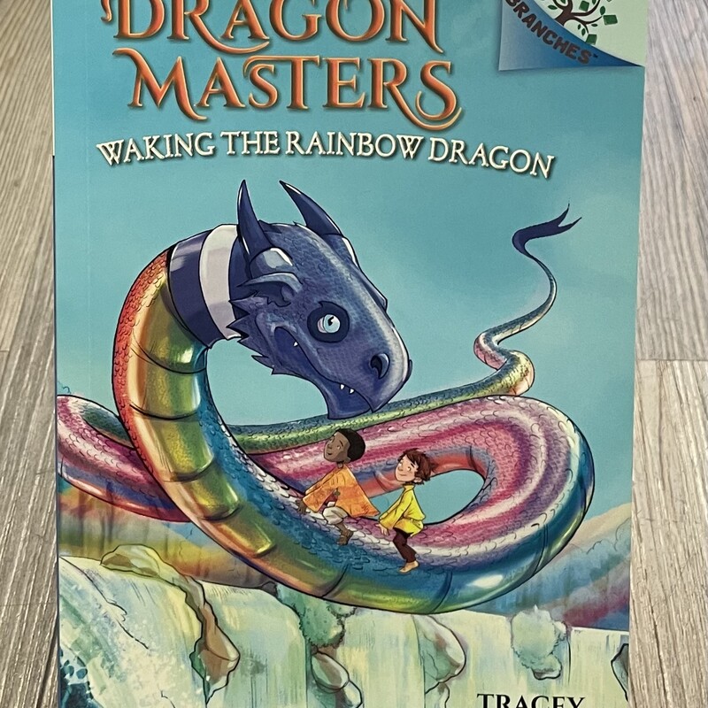 Dragon Masters #10, Multi, Size: Paperback