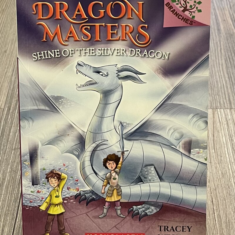 Dragon Masters #11, Multi, Size: Paperback