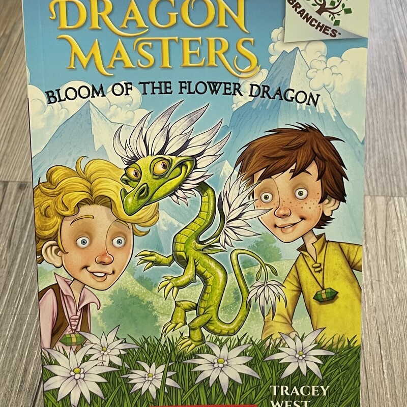 Dragon Masters #21, Multi, Size: Paperback