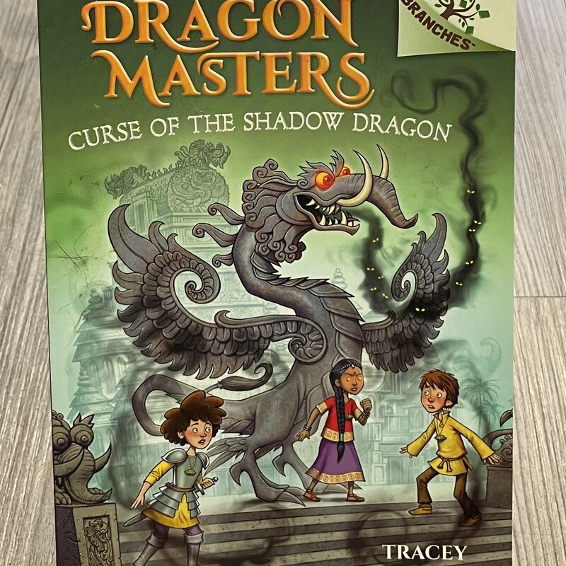 Dragon Masters #23, Multi, Size: Paperback