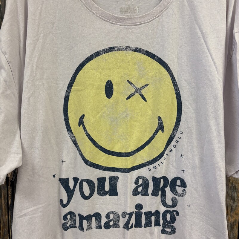 Pink You Are Amazing Tee, Size: 2x